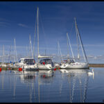 Ernemar Foto Hasse Broms_3390